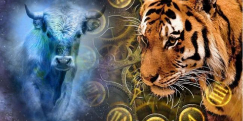 Novoroční stůl 2022: co vařit pro modrého vodního tygra